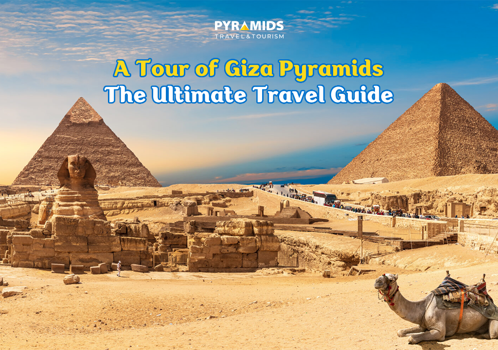 Egyptian pyramids with sphinx and camel