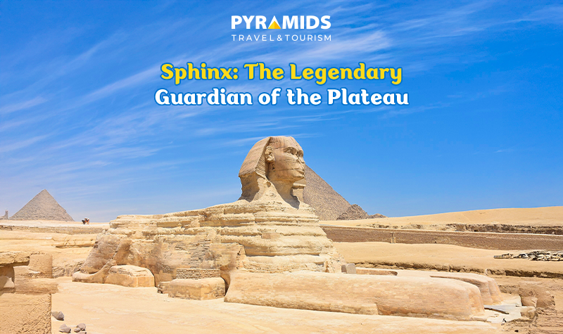 أبو الهول الحارس الاسطوري للهضبة