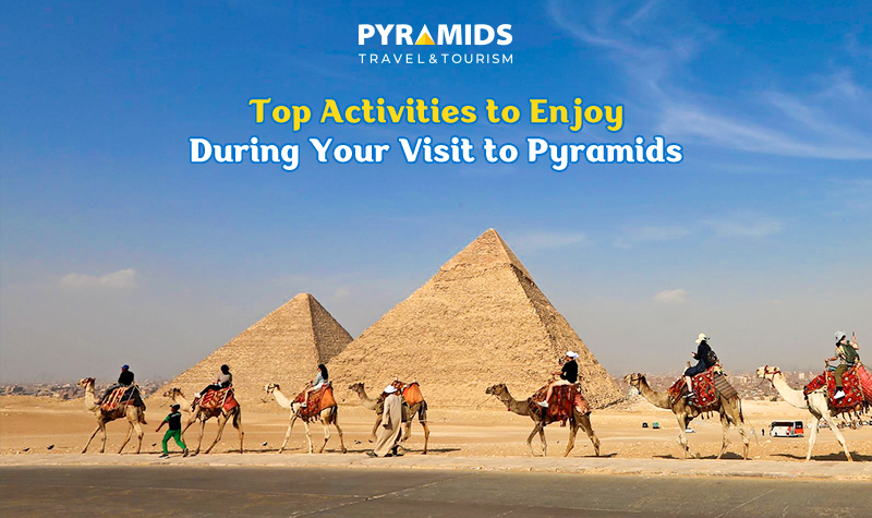 Camels with Pyramids in the background