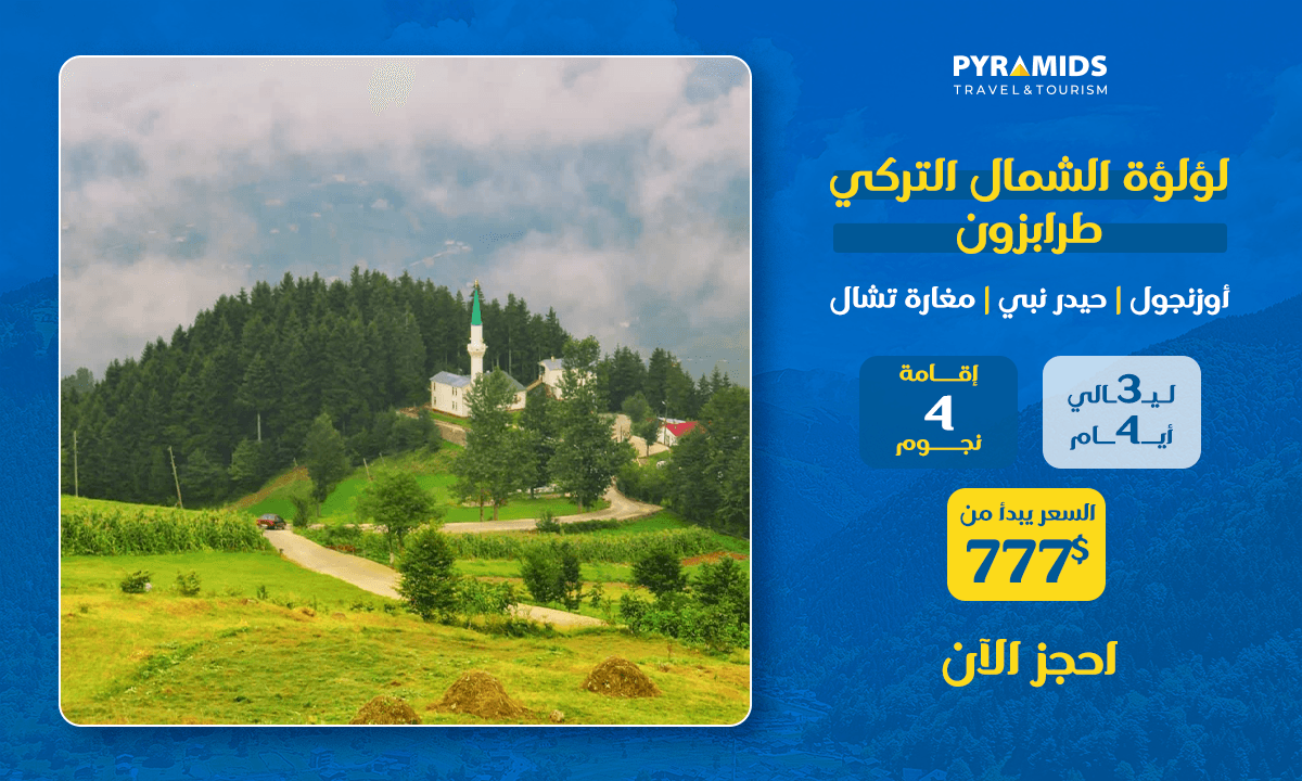 مناظر طبيعية خلابة في طرابزون تتميز بتلال خضراء مورقة، ومسجد محاط بالغابة، وطريق متعرج تحت سحب ضبابية - تروج لحزمة سفر لمدة 4 أيام تشمل أوزونغول، وهضبة هيدرنبي، وكهف تشال.