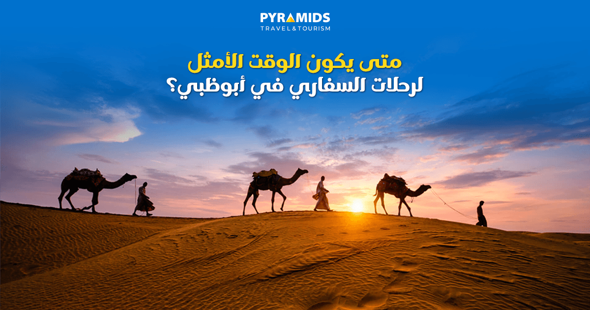 متى يكون الوقت الأمثل لرحلات السفاري في أبو ظبي؟