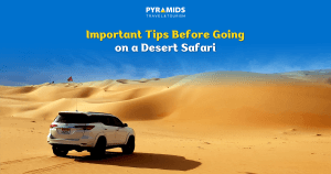 Important Tips Before Going on a Desert Safari