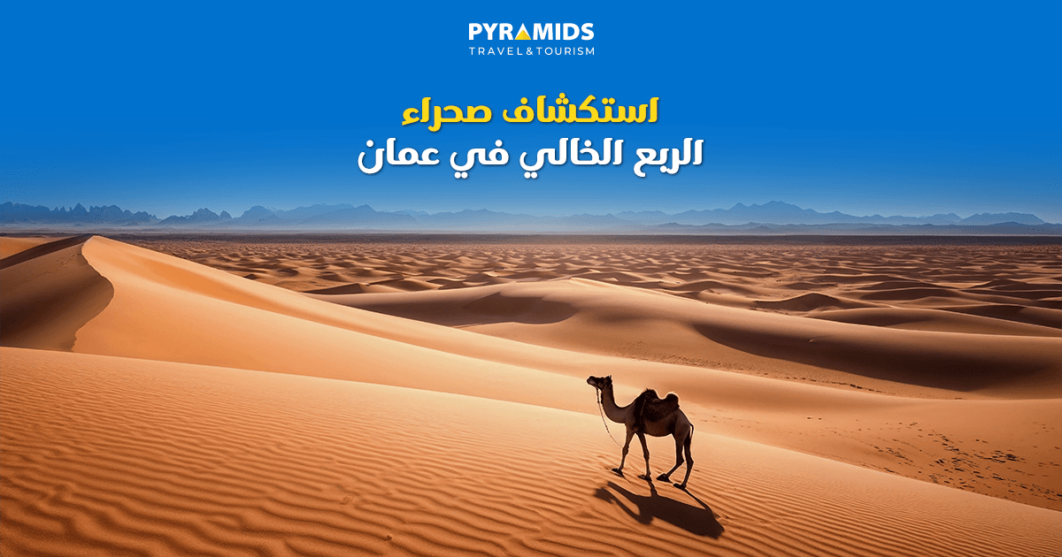 اكتشف سحر صحراء الربع الخالي واستمتع بمغامرات السفاري والتخييم وسط الكثبان الرملية الذهبية، مع تجربة فريدة تجمع بين الطبيعة الصحراوية الهادئة والتراث البدوي الأصيل.