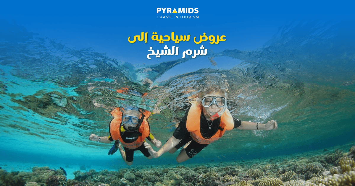 اكتشف أفضل عروض شرم الشيخ واستمتع بإجازة لا تُنسى بين الشواطئ الذهبية ومياه البحر الأحمر الصافية. تعرّف على أبرز الأنشطة البحرية، ورحلات الغوص والسنوركلينج، وأفضل النصائح لاختيار الباقة السياحية المناسبة لعطلتك.